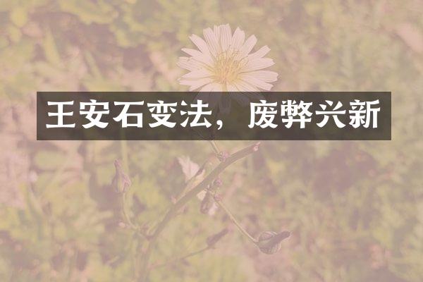 王安石变法，废弊兴新