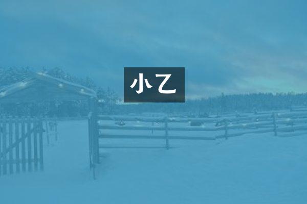 小乙