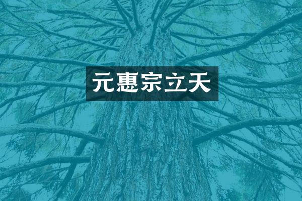 元惠宗立天