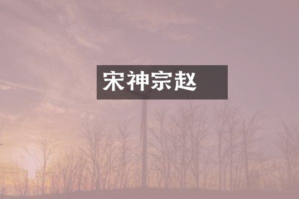 宋神宗赵頠