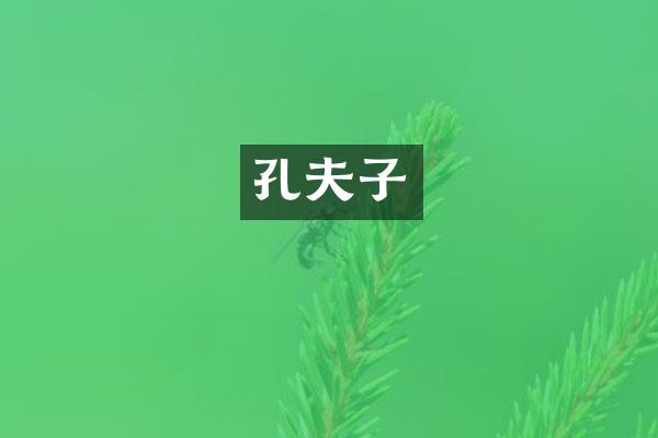 孔夫子