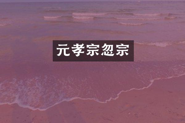 元孝宗忽宗