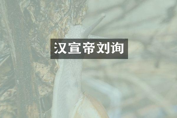 汉宣帝刘询