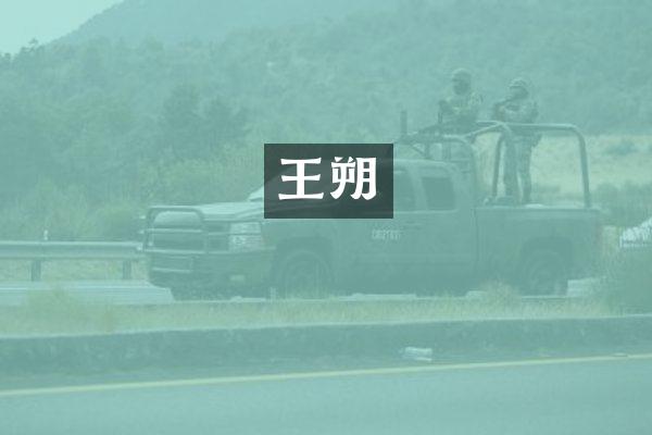 王朔
