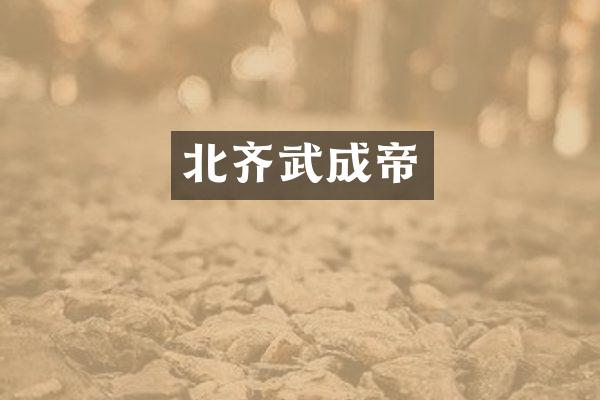 北齐武成帝
