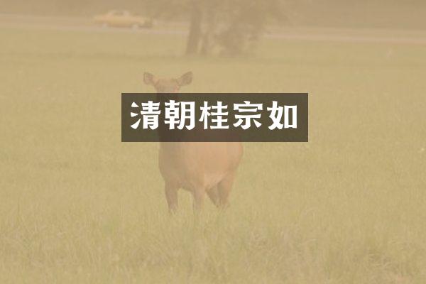 清朝桂宗如