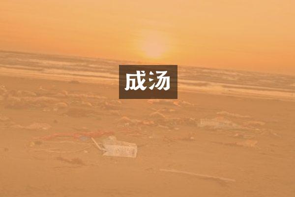 成汤