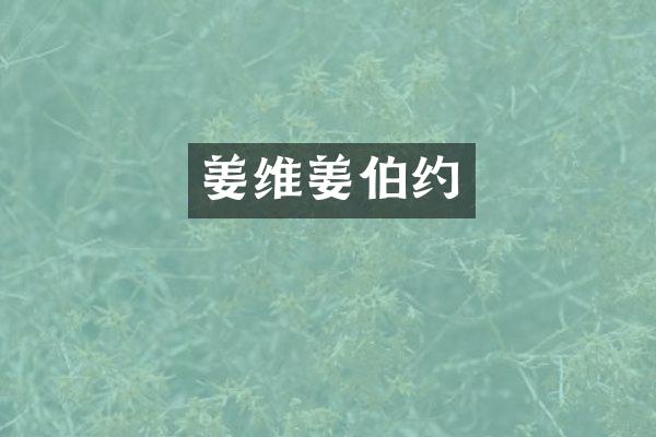 姜维姜伯约