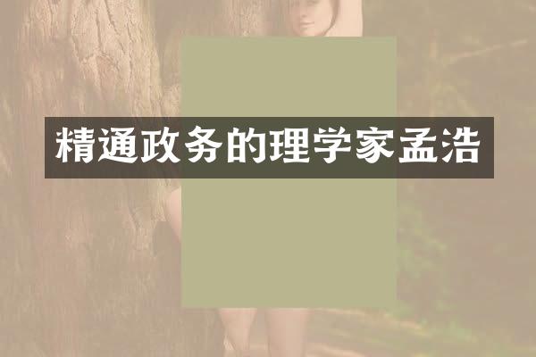 精通政务的理学家孟浩