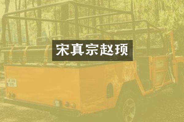 宋真宗赵顼