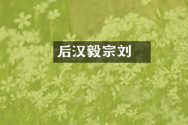后汉毅宗刘龑
