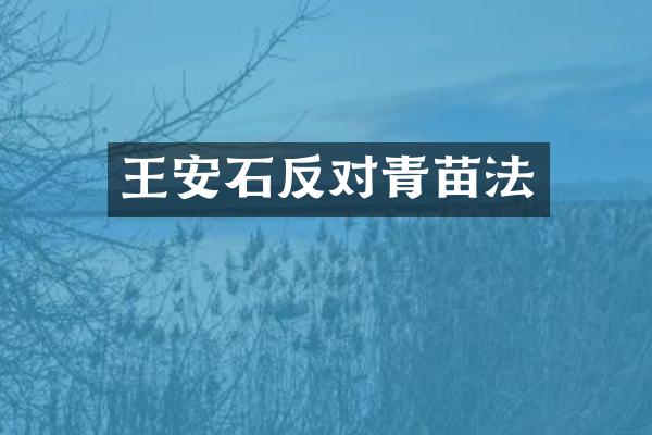王安石反对青苗法