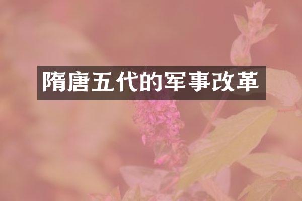 隋唐五代的军事改革