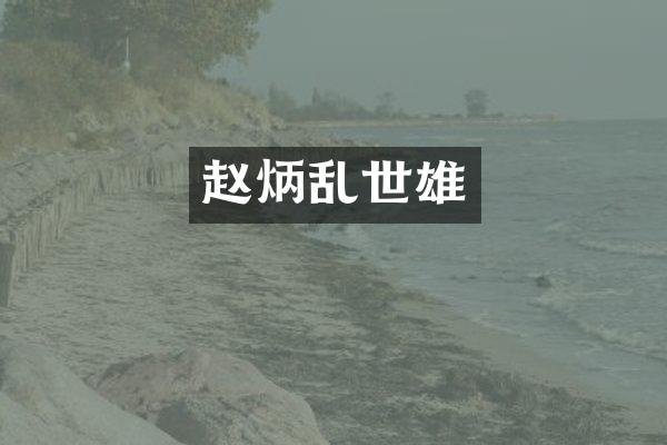赵炳乱世雄