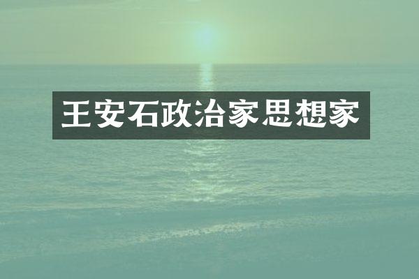 王安石政治家思想家