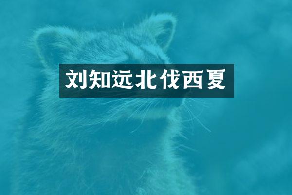 刘知远北伐西夏
