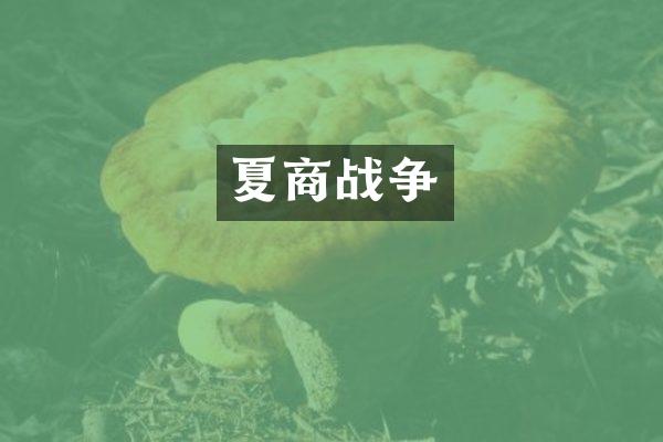 夏商战争