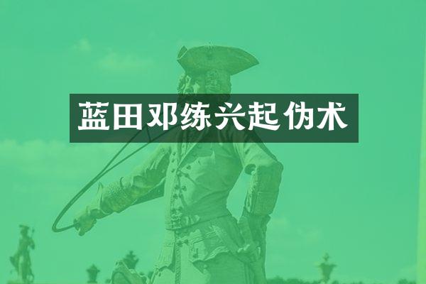蓝田邓练兴起伪术