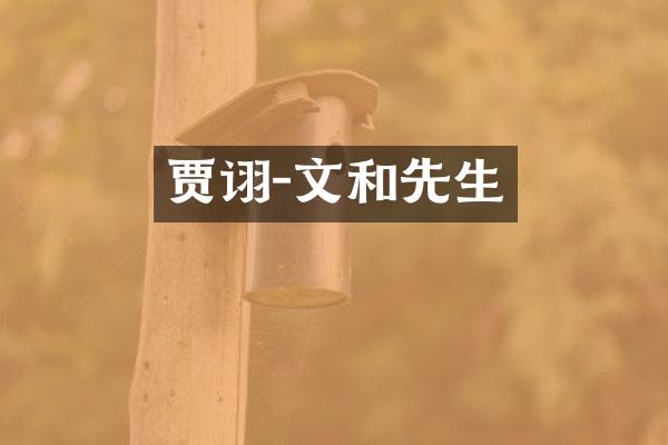 贾诩-文和先生