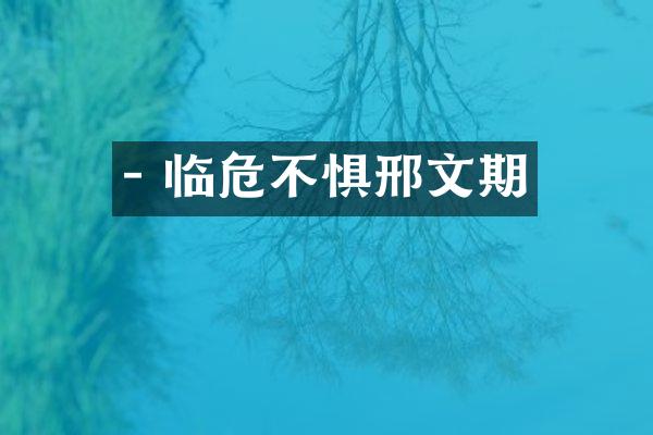 - 临危不惧邢文期