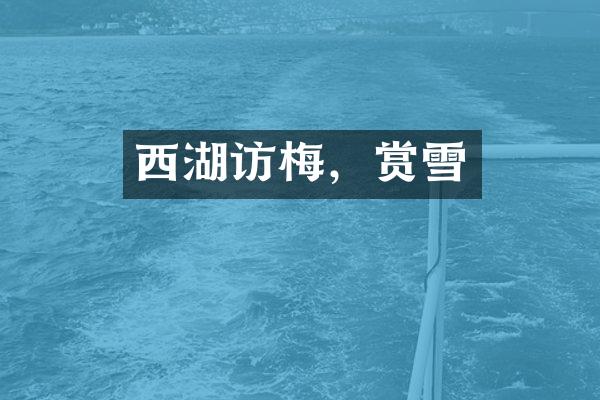 西湖访梅，赏雪