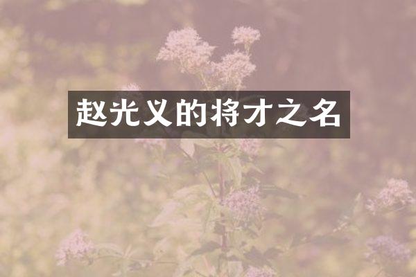赵光义的将才之名