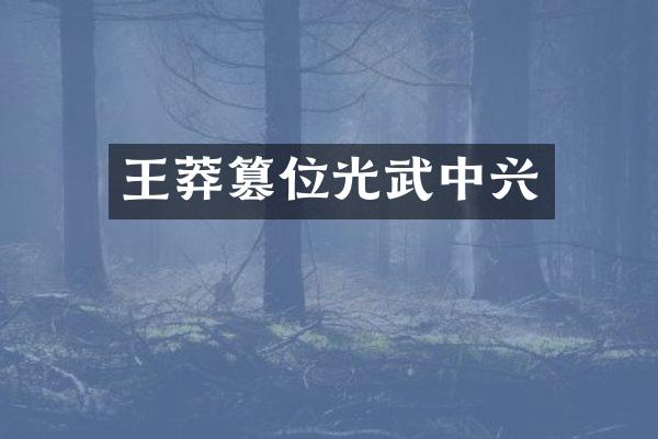 王莽篡位光武中兴