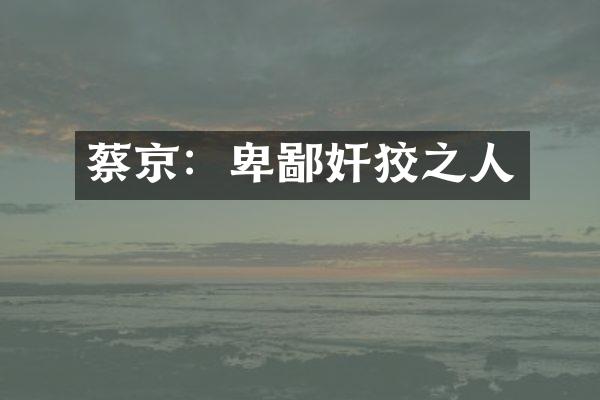 蔡京：卑鄙奸狡之人