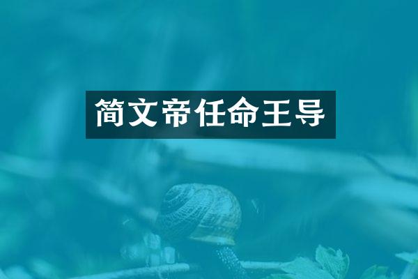 简文帝任命王导
