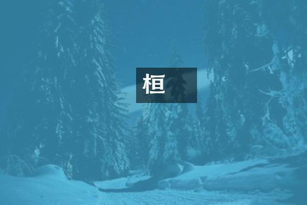 桓沖