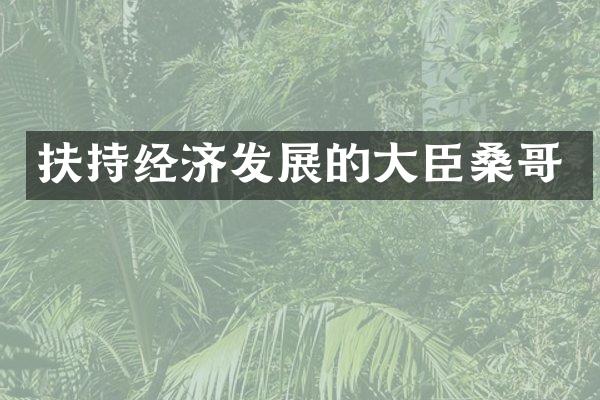 扶持经济发展的大臣桑哥