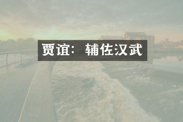 贾谊：辅佐汉武