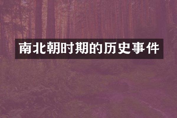 南北朝时期的历史事件