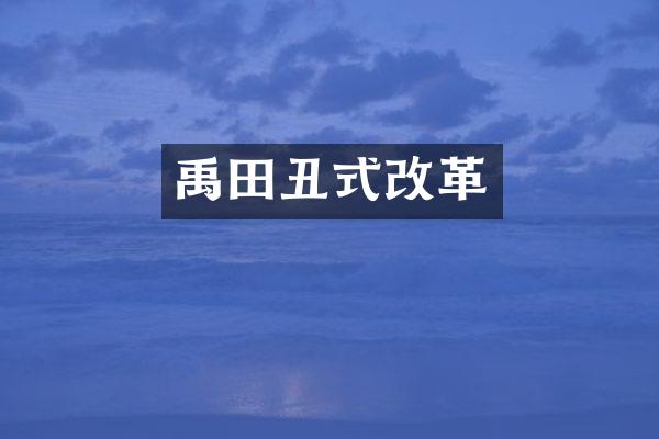禹田丑式改革