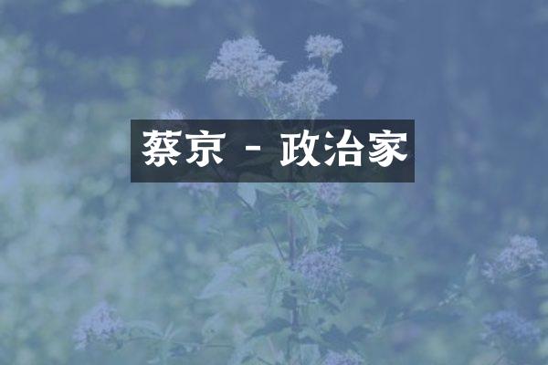 蔡京 - 政治家