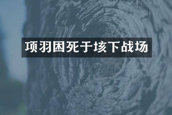 项羽困死于垓下战场