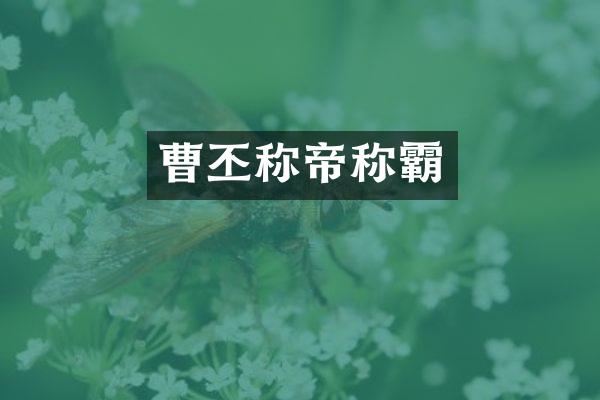 曹丕称帝称霸
