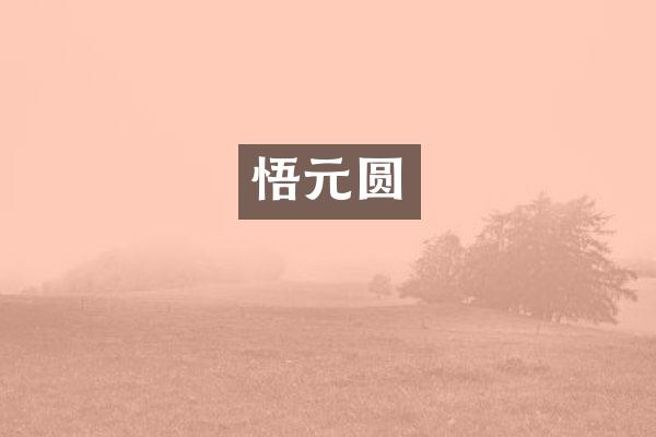 悟元圆