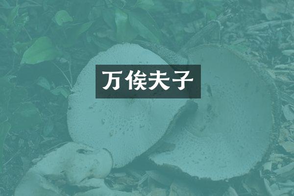 万俟夫子