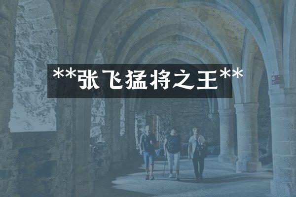 **张飞猛将之王**