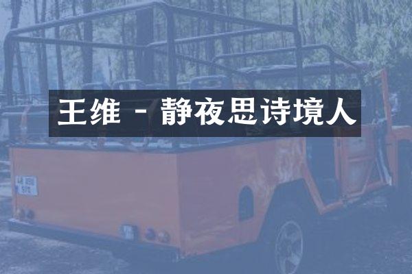 王维 - 静夜思诗境人