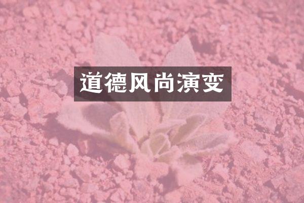 道德风尚演变