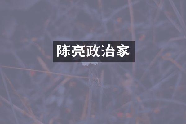 陈亮政治家