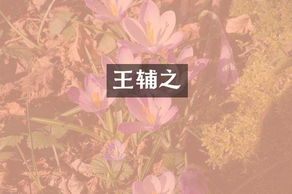 王辅之
