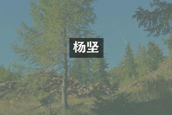 杨坚