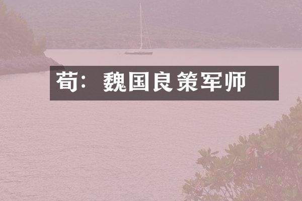 荀彧：魏国良策军师