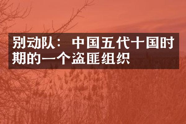 别动队：中国五代十国时期的一个盗匪组织