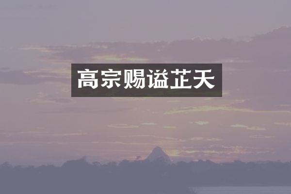 高宗赐谥芷天