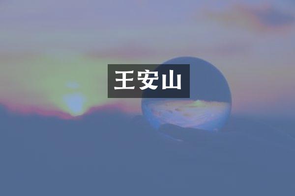 王安山