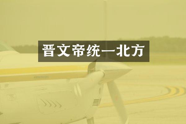 晋文帝统一北方